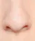 Nesen