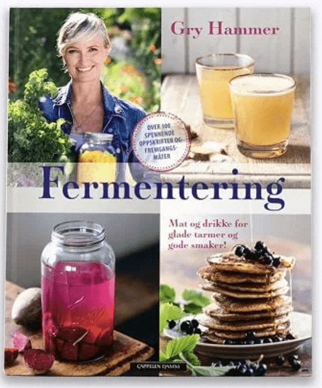 BOK Fermentering